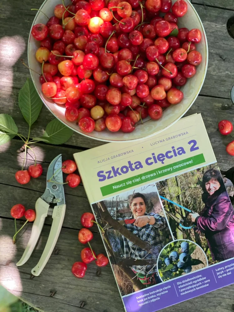 ksiazka-szkola-ciecia-2-alicja-grabowska-zurek-i-lucyna-grabowska-ksiazka-o-cieciu-drzew-i-krzewow-owocowych-poradnik-ogrodnika-ksiazka-dla-ogrodnika-ciecie-drzew-i-krzewow-owoco.webp