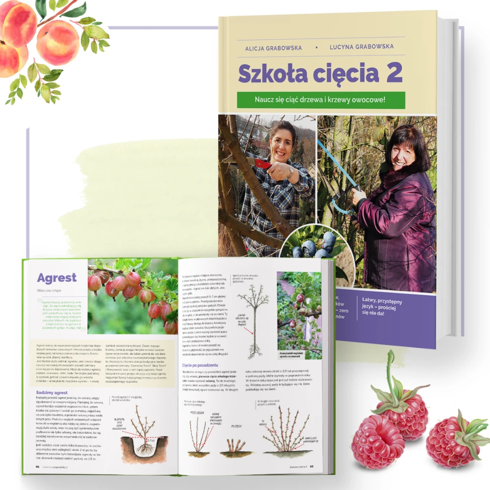 ksiazka-szkola-ciecia-2-ksiazka-o-cieciu-drzew-i-krzewow-owocowych-poradnik-ogrodnika-agrest-jak-ciac-agrest-ciecie-krzewow-drzewa-owocowe-pielegnacja-roslin-owocowych-dzialka.png