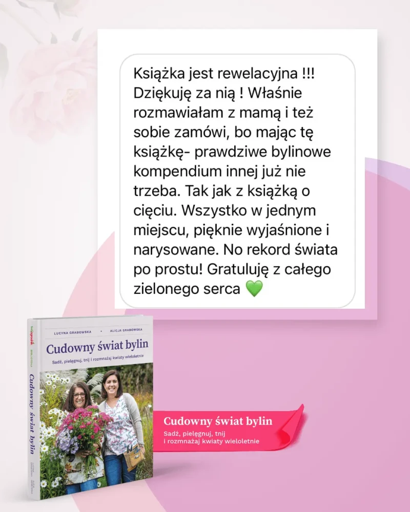 ksiazka-cudowny-swiat-bylin-sadz-uprawiaj-tnij-i-rozmnazaj-rosliny-wieloletnie-ksiazka-o-bylinach-ciemiernik-byliny-caloroczne-ciemierniki-ogrodowe-rabaty-bylinowe-4.webp